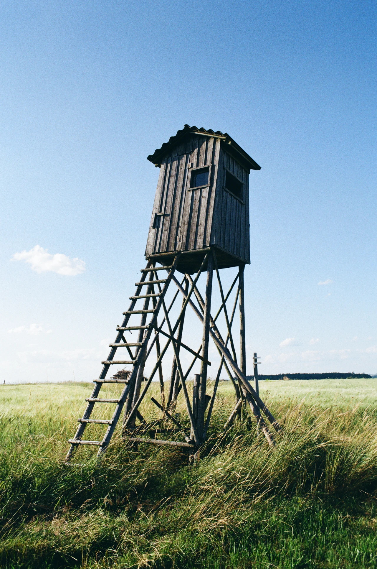 Eine hölzerne Jagdhütte auf Stelzen mit Leiter, umgeben von hohem Gras, vor einem klaren blauen Himmel mit wenigen Wolken.